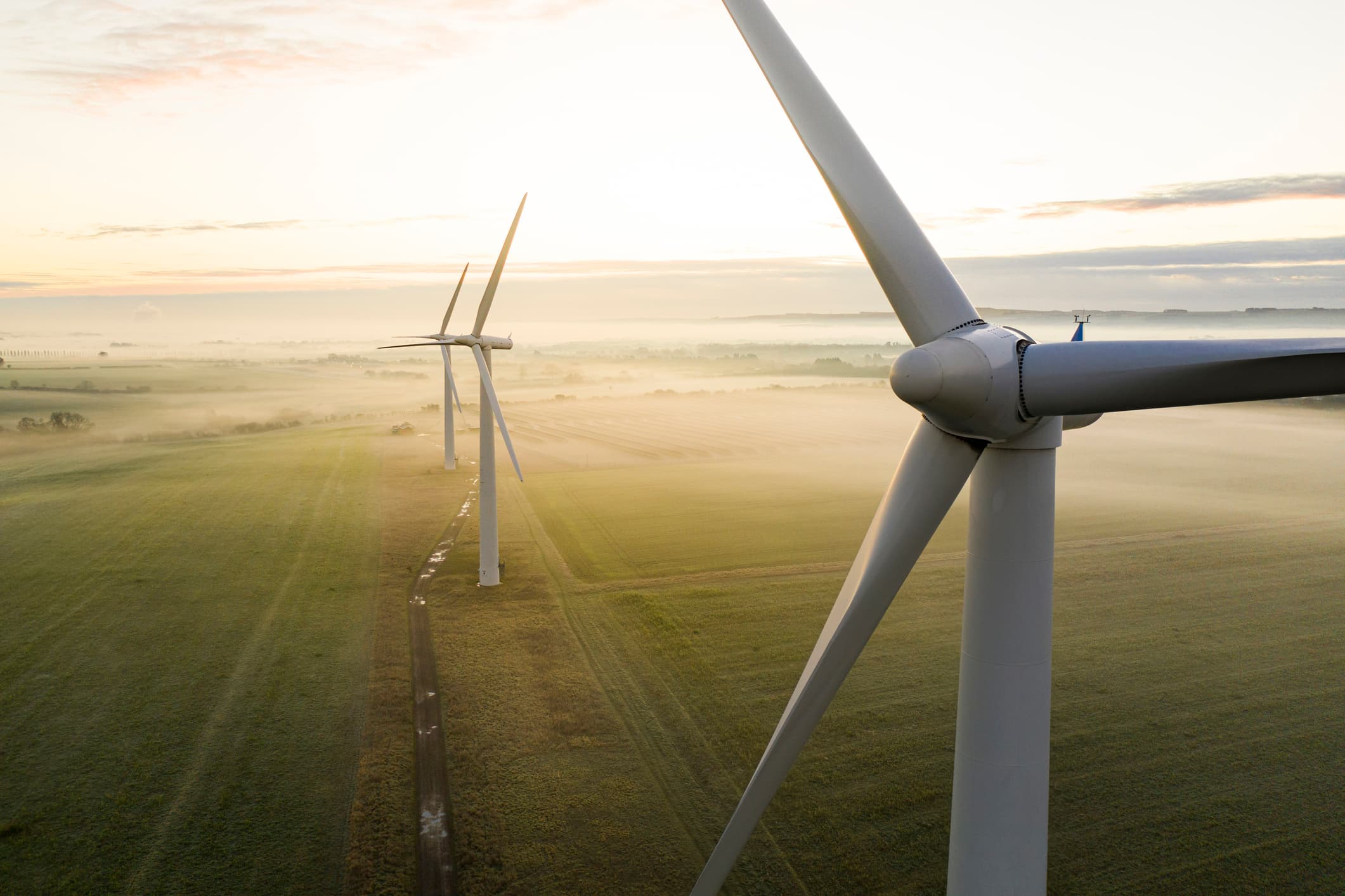 Wind turbines at dawn